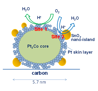 Model structure and proposed oxygen reduction reaction activity sites (sites 1 and 2) for the nano-SnO2-decorated Pt3Co/C with Pt skeleton surface with compressive strain and defects/dislocations.